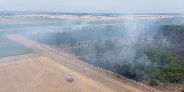 Waldbrand weitet sich aus - Weitere Ortschaft wird evakuiert