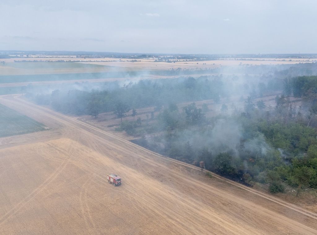 Katastrophenalarm: Ortschaften wegen Waldbrand evakuiert