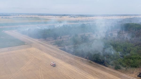 Katastrophenalarm: Ortschaften wegen Waldbrand evakuiert