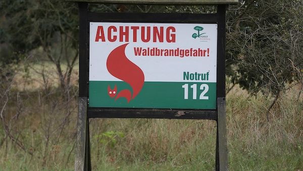 Feuerwehrverband will mehr Hubschrauber zur Waldbrandbekämpfung