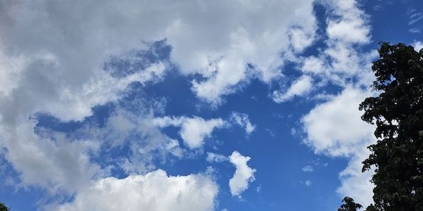 Wetterbericht für Schleswig-Holstein/Hamburg (31.05.2025)