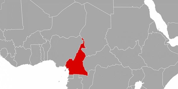 NRC: Kamerun ist am stärksten vernachlässigte Vertreibungskrise