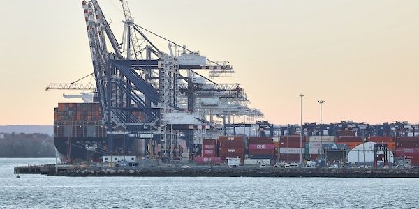 Ifo: Trumps Zollpolitik schadet US-Wirtschaft