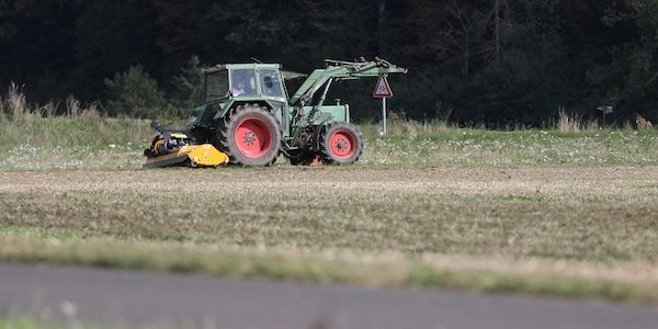 Bauernverband will "Sonderlösung" beim Mindestlohn