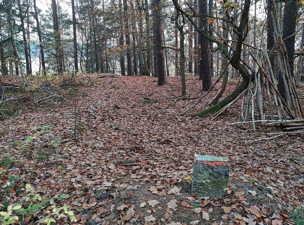 Umweltbehörde in Hamburg wegen Waldfunktionenplan unter Druck
