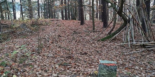 Umweltbehörde in Hamburg wegen Waldfunktionenplan unter Druck
