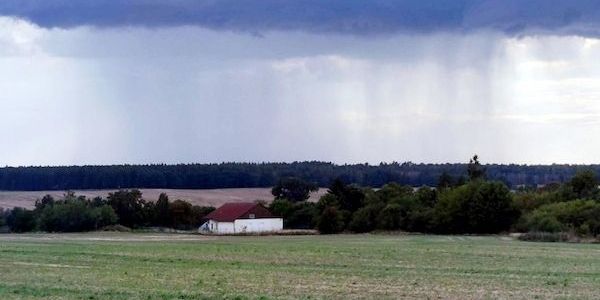 Der Wetterbericht für Baden-Württemberg (11.06.2025)