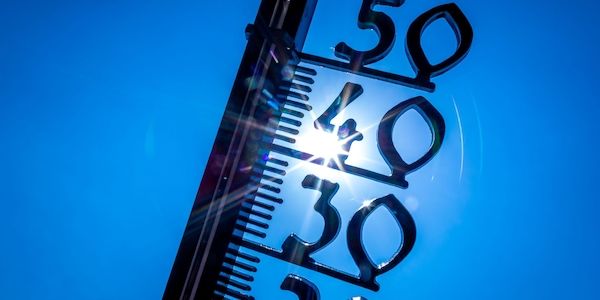 Brandenburg bereitet Hitzeschutz für den Sommer vor - Betriebe sollen Vorsorge treffen