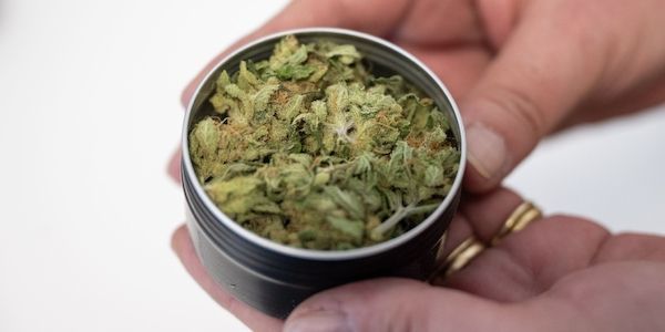 Cannabis-Club startet mit Ausgabe in Oranienburg
