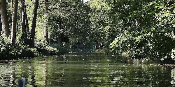 Niedrigwasser in Spree und Schwarzer Elster erreicht kritische Werte