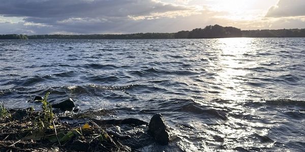 Potsdam warnt vor Blaualgen und Saugwürmern in Badegewässern