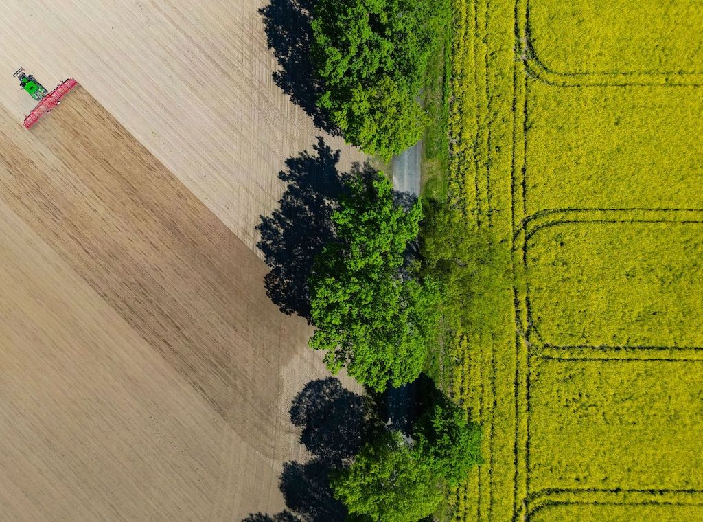 Brandenburger Landpartie: Besucher können Bauernhöfe erleben