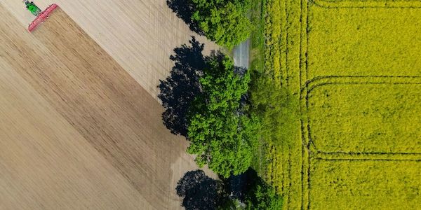Brandenburger Landpartie: Besucher können Bauernhöfe erleben