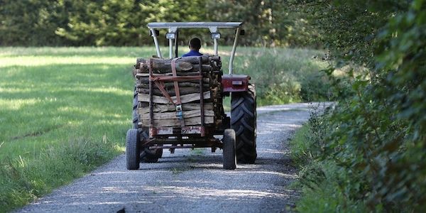 Bayerische Landwirtschaftsministerin warnt vor höherem Mindestlohn