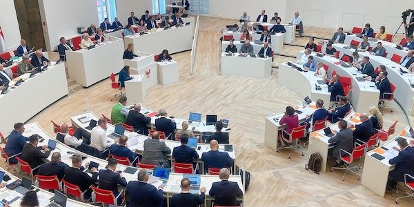 Grüne Brandenburg kritisieren Haushaltsverabschiedung als unsicher für die Zukunft