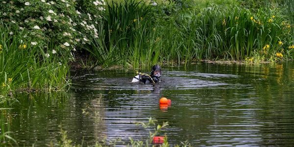 Raubmord in Berlin-Reinickendorf - Polizei sucht mit Tauchern nach Tatwaffe