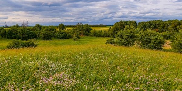 Wetterumschwung in Sicht: Sonne ab Mittwoch