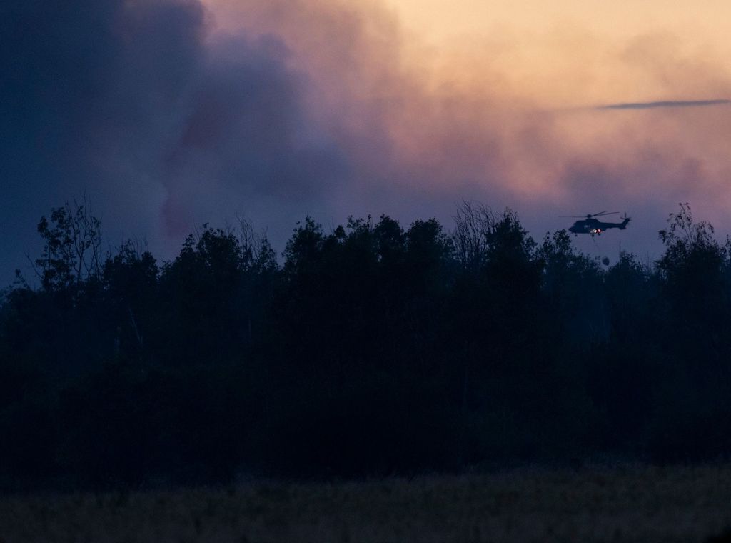 Waldbrand in Gohrischheide weiter außer Kontrolle - Katastrophenalarm ausgerufen