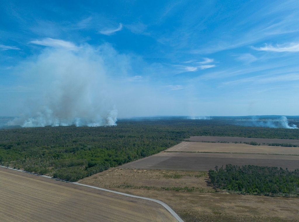 Waldbrand in der Gohrischheide - Wind dreht nach Brandenburg