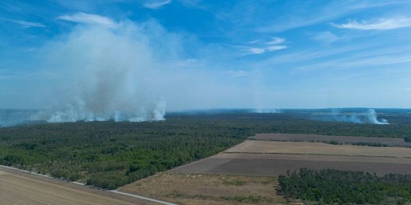 Waldbrand in der Gohrischheide - Wind dreht nach Brandenburg