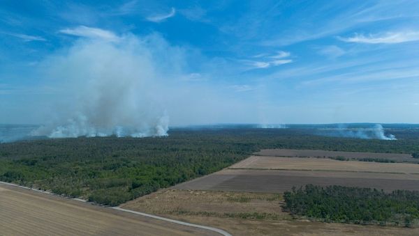 Waldbrand in der Gohrischheide - Wind dreht nach Brandenburg