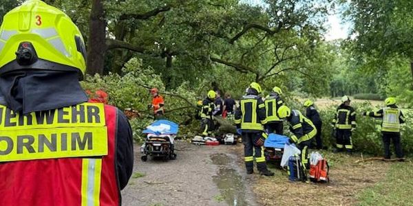 Schweres Unwetter in Potsdam verletzt zwei Personen durch Baumsturz