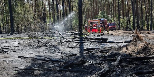 Zahlreiche Brände in Brandenburg - Feuer nahe dem Flughafen