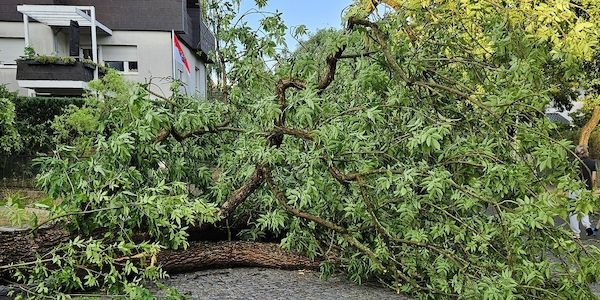 Spandau, Heiligensee und Tegel waren vom Unwetter besonders betroffen
