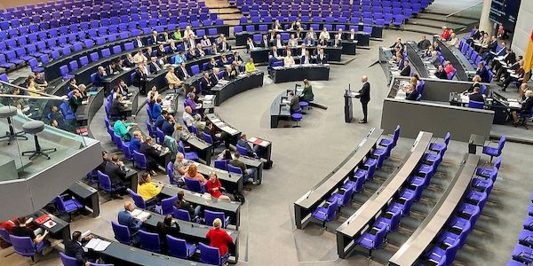 Linke formuliert Bedingungen für Richterwahl