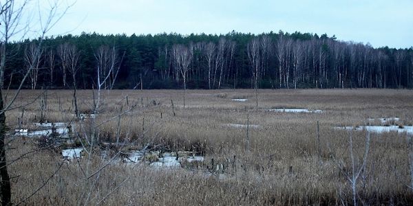 Landkreise für Transformationsfonds zur Wiedervernässung der Moore