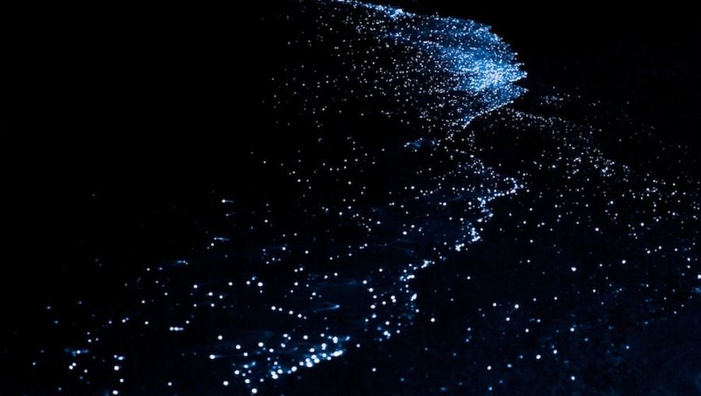Noctourismus-Abenteuer im Nova Maldives: Leuchtende Strände, klarer Sternenhimmel, fluoreszierendes Schnorcheln & nächtliche Tauchgänge