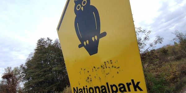 Grüne fordern Unterstützung für Biosphärenreservat Spessart