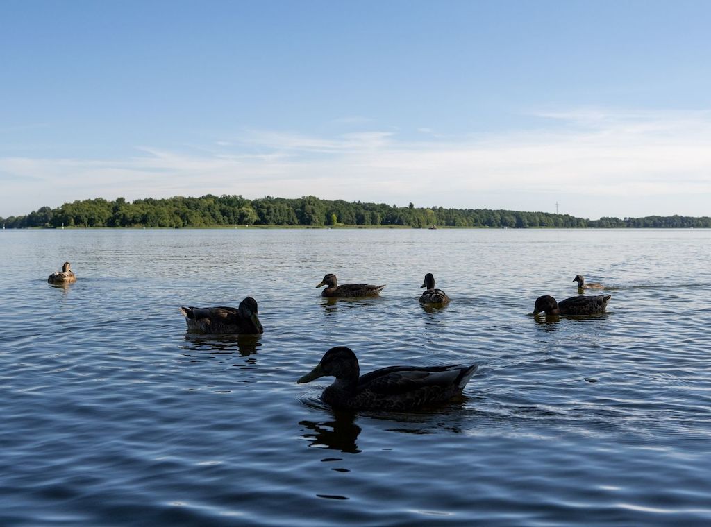 Gute Wasserqualität zum Baden in Brandenburg - mit Ausnahmen