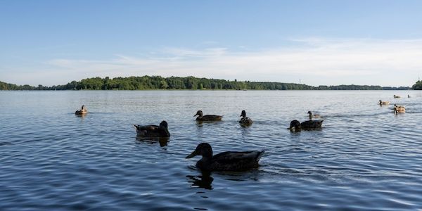 Gute Wasserqualität zum Baden in Brandenburg - mit Ausnahmen