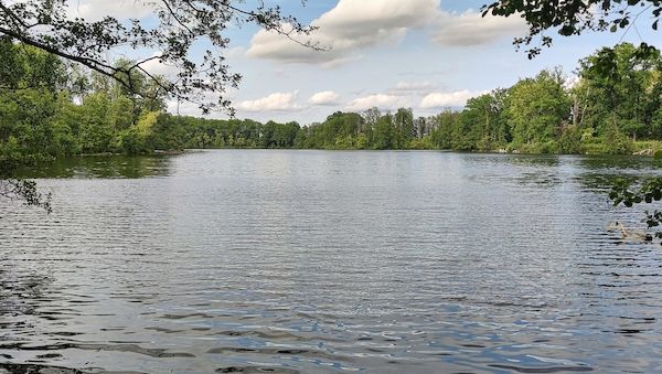 Brandenburgs Badegewässer überwiegend in guter Qualität