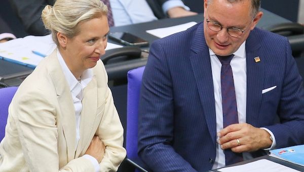 Politologe sieht AfD als "Gewinner" der Debatte um Richterwahl
