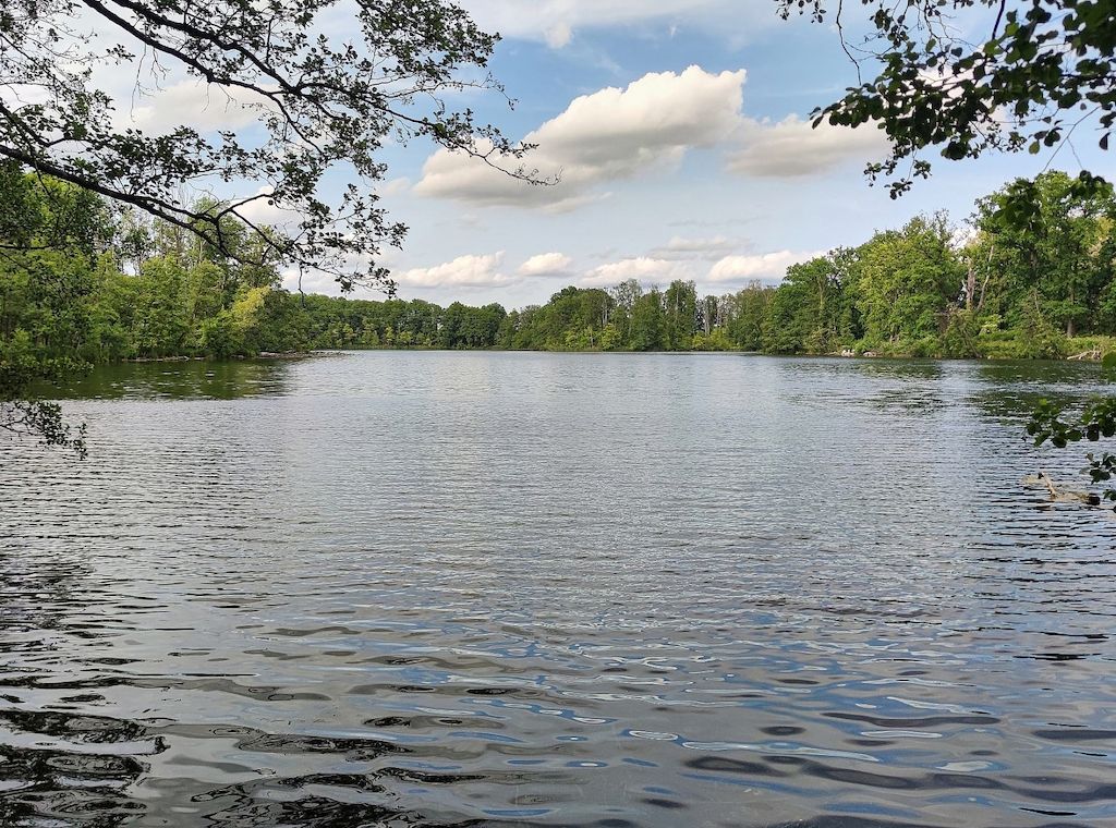 Mehr Nichtschwimmer: Bademeister fürchten Zunahme von Badeunfällen