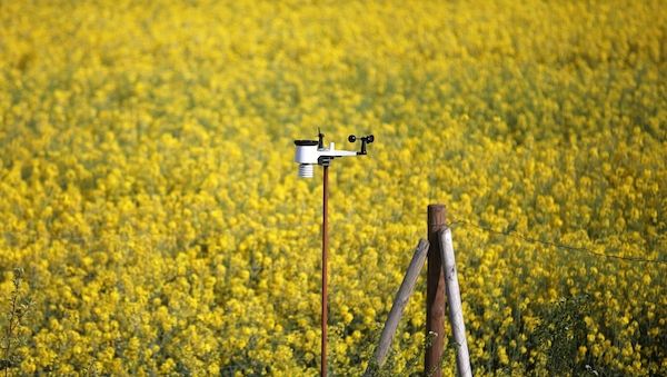 Wetterbericht für Nordrhein-Westfalen (17.07.2025)