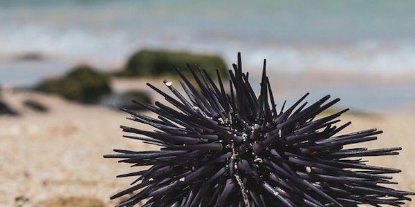 Krank im Urlaub? Gut versichert verreisen