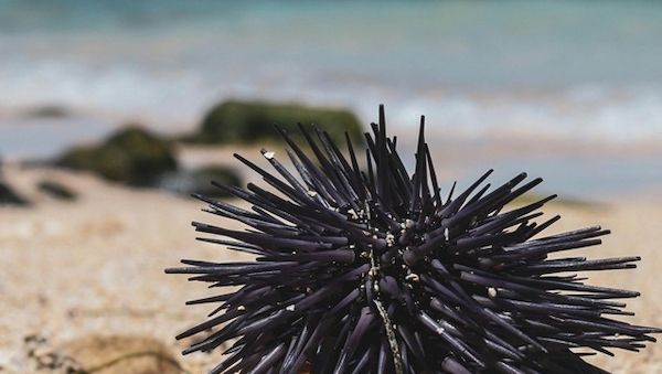 Krank im Urlaub? Gut versichert verreisen