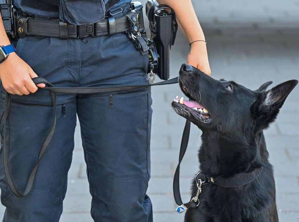 Brandenburger Polizei lädt zum Tag der offenen Tür am Standort Potsdam-Eiche ein