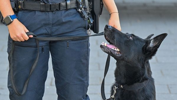 Brandenburger Polizei lädt zum Tag der offenen Tür am Standort Potsdam-Eiche ein