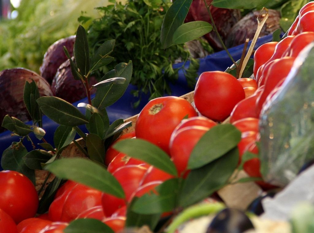 50 Schülermentoren für nachhaltige Ernährung in Stuttgart ausgezeichnet