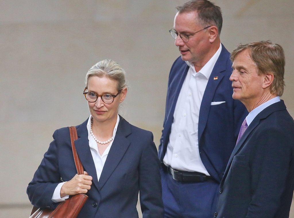 AfD prüft Verfassungsbeschwerde wegen "Verdachtsfall"-Einstufung