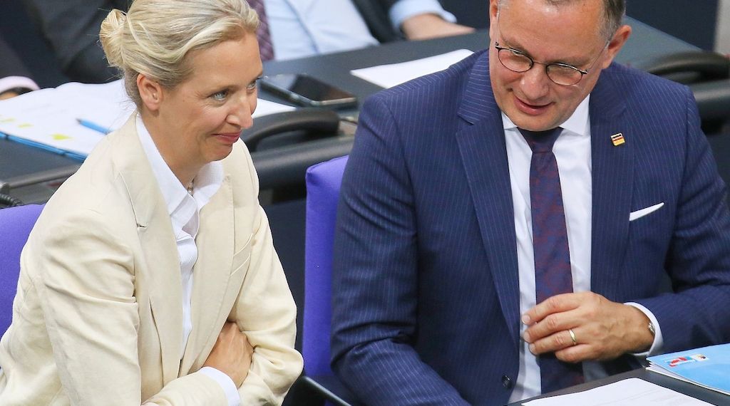 Politologe sieht AfD als "Gewinner" der Debatte um Richterwahl