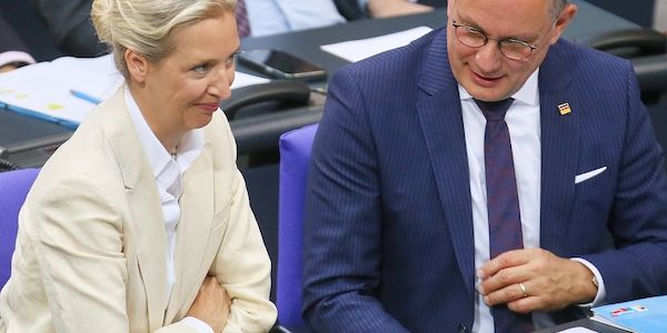 Politologe sieht AfD als "Gewinner" der Debatte um Richterwahl