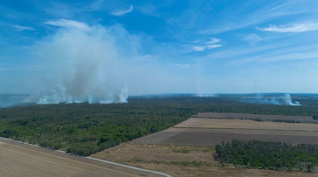 Waldbrand in der Gohrischheide - Wind dreht nach Brandenburg