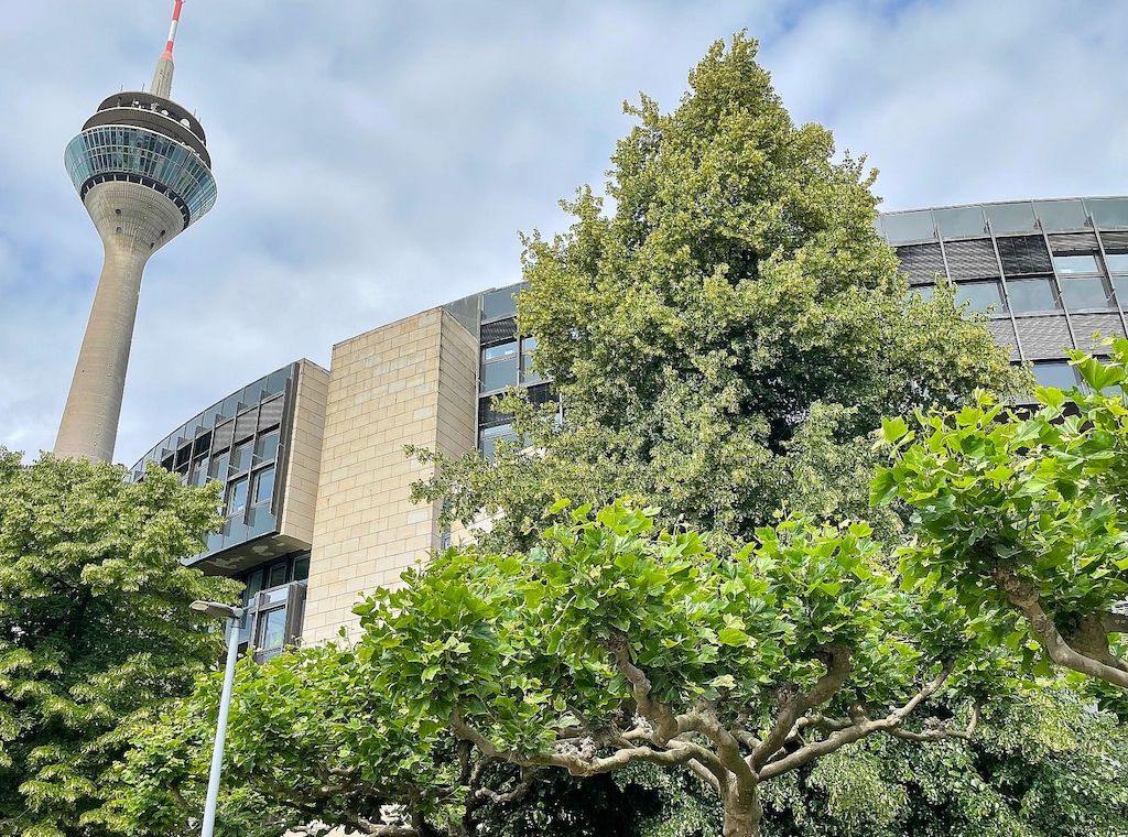 Mehr junge Besucher im NRW-Landtag