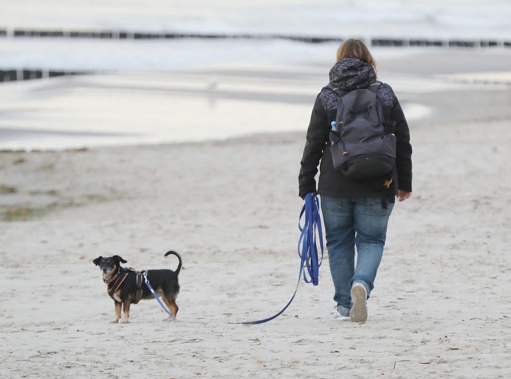 Wetterbericht für Schleswig-Holstein/Hamburg (01.08.2025)