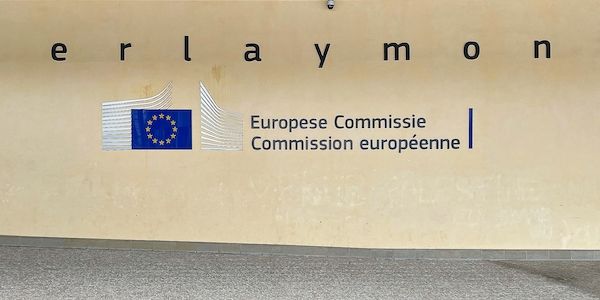 EU-Kommission wirft Temu Verstöße gegen DSA vor